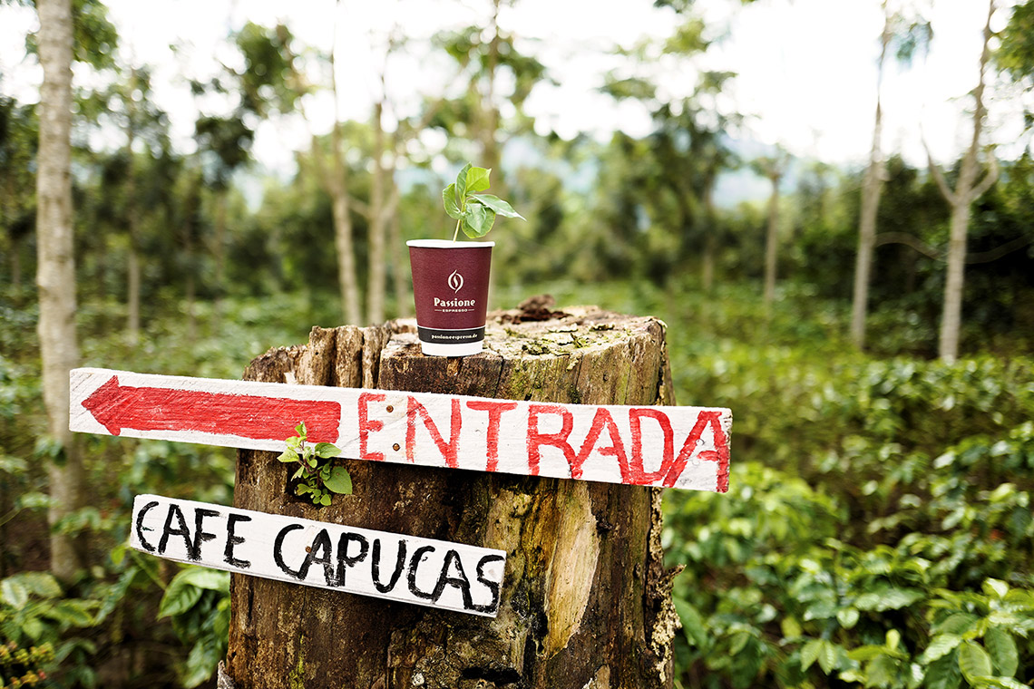 Honduras - Umami Barista Camp