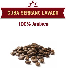 Cuba Serrano Lavado 