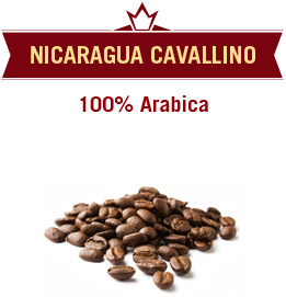 Nicaragua Cavallino 